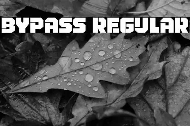 Bypass Regular Font examples