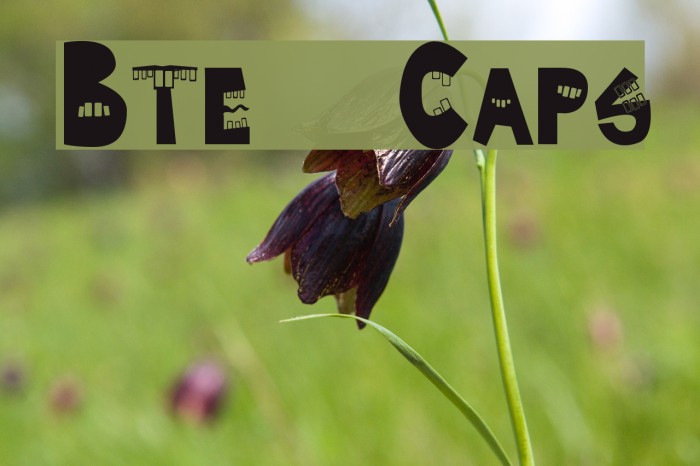 Byte Caps Font examples