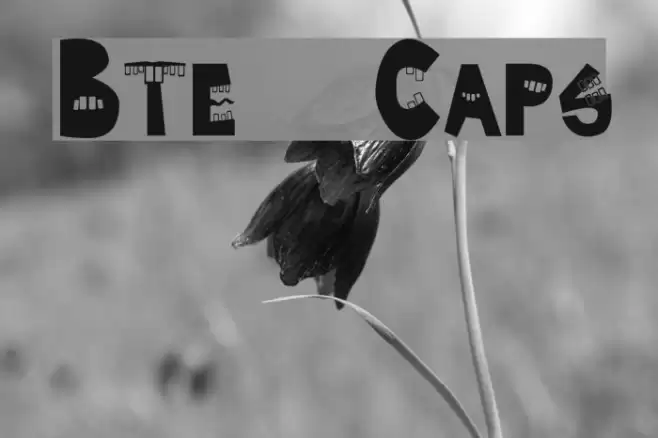 Byte  Caps Font examples
