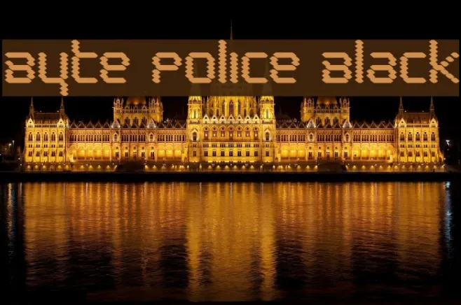 Byte Police Black Example 2