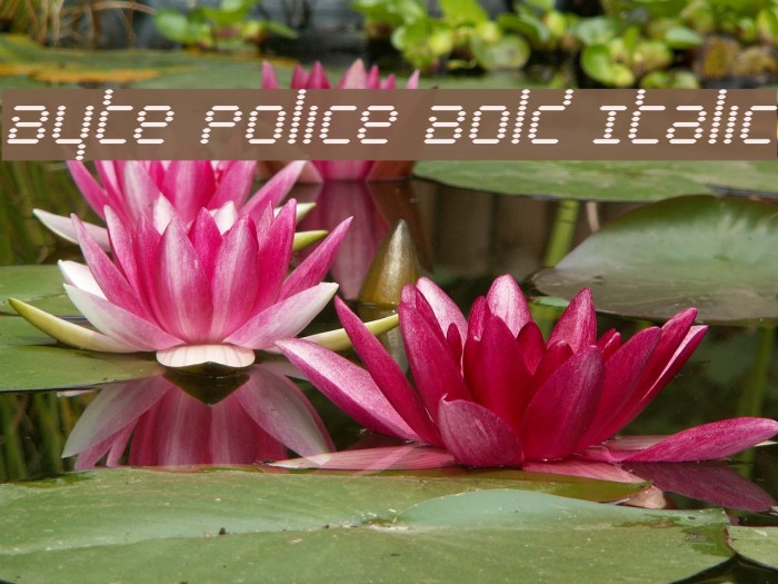 Byte Police Bold Italic Font examples