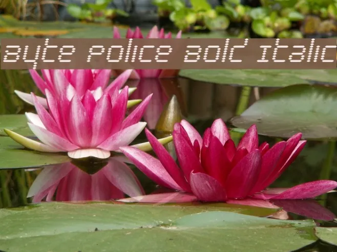 Byte Police Bold Italic Example 1