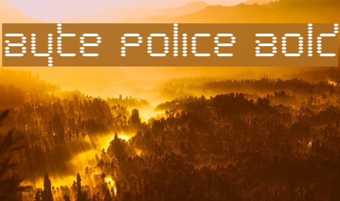Byte Police Bold Font examples