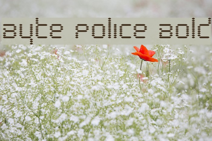 Byte Police Bold Font examples