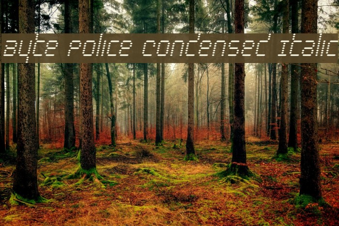 Byte Police Condensed Italic Font examples