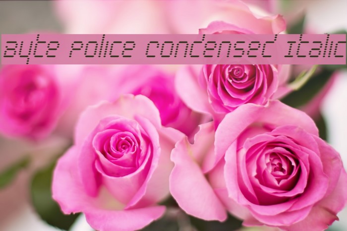 Byte Police Condensed Italic Font examples