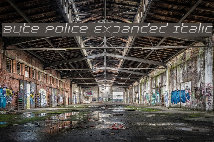 Byte Police Expanded Italic Example 3