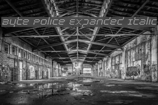 Byte Police Expanded Italic Font examples