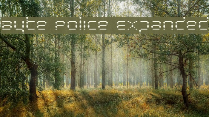 Byte Police Expanded Font examples
