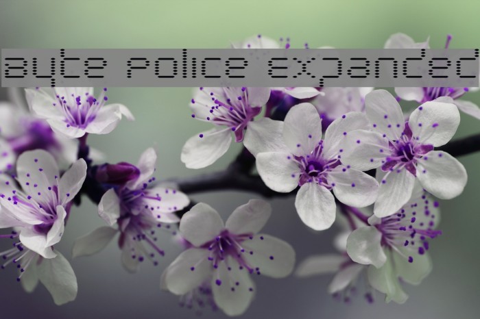 Byte Police Expanded Font examples