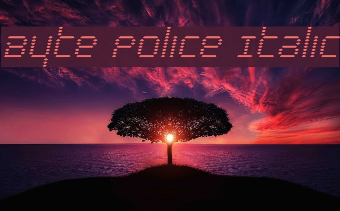 Byte Police Italic Example 3