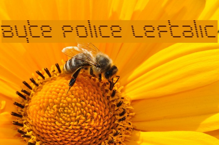 Byte Police Leftalic Font examples
