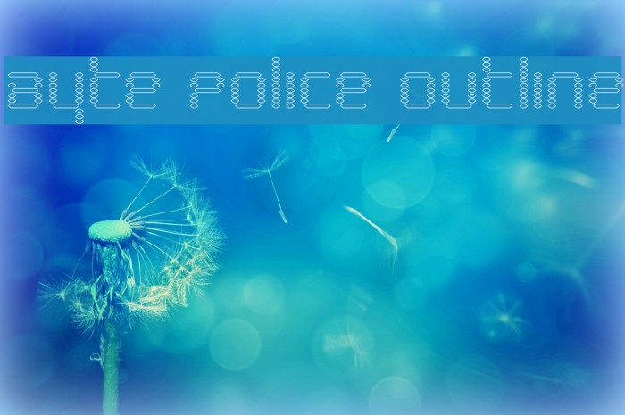 Byte Police Outline Example 1