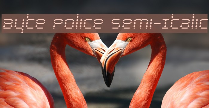 Byte Police Semi-Italic Font examples