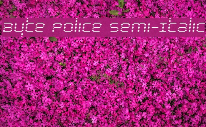 Byte Police Semi-Italic Font examples