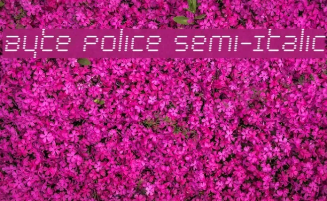 Byte Police Semi-Italic Example 2