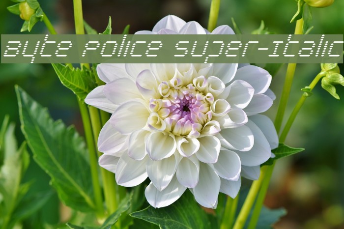 Byte Police Super-Italic Font examples