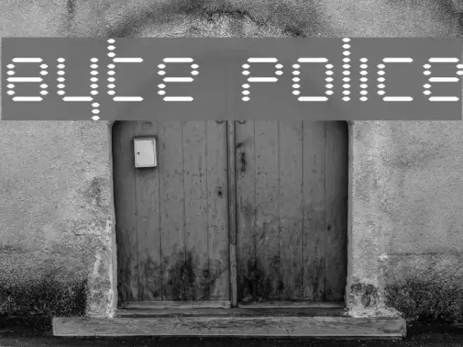 Byte Police Polices examples