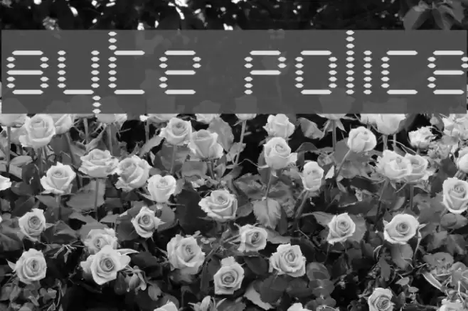 Byte Police Polices examples