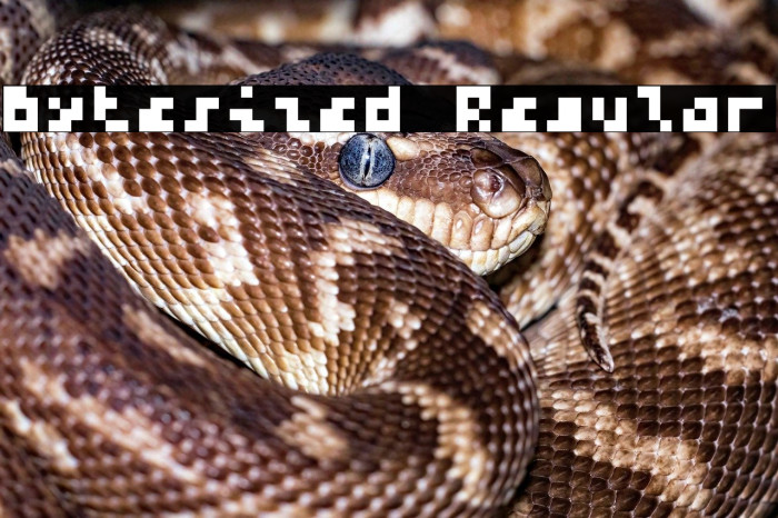 Bytesized Regular フォント examples