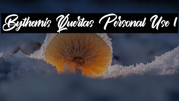 Bythemis Quertas Personal Use 1 Example 2