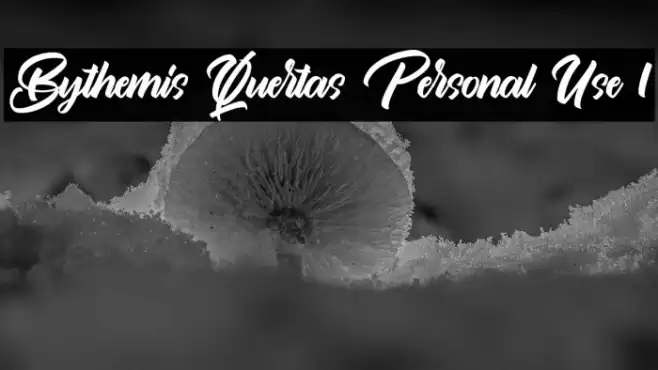 Bythemis Quertas Personal Use 1 Font examples