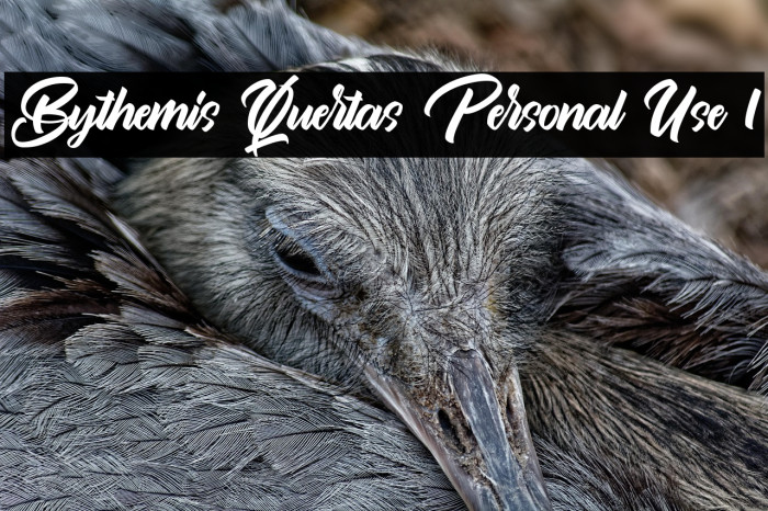 Bythemis Quertas Personal Use 1 Example 3