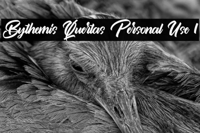 Bythemis Quertas Personal Use 1 Font examples