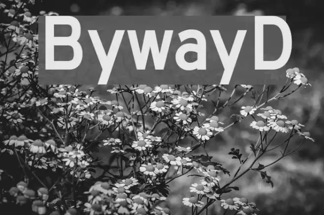 BywayD Font examples