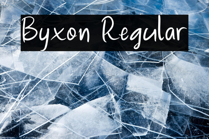 Byxon Regular Example 1