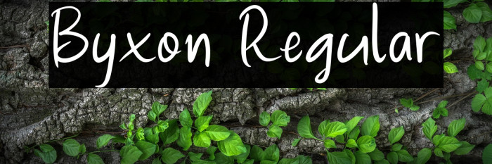 Byxon Regular Example 2