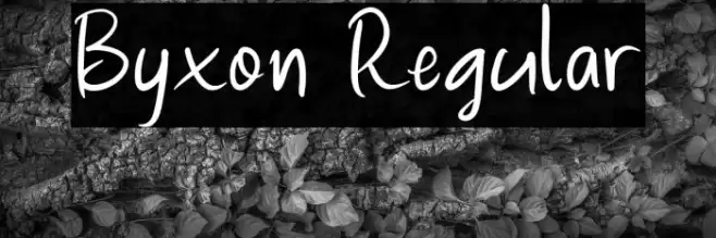 Byxon Regular Caratteri examples