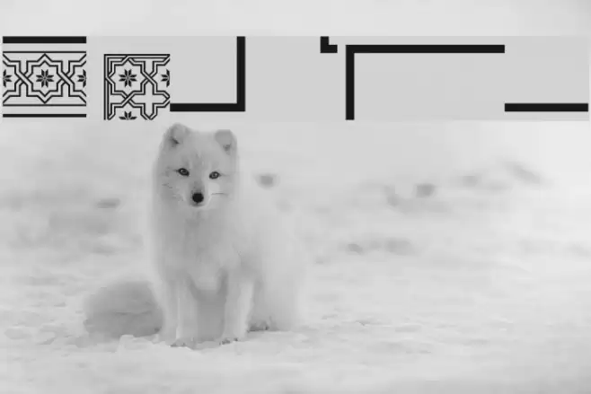 Byzantium Font examples