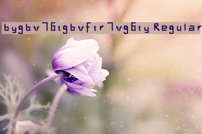 bygbv76tgbvftr7vg6ty Regular Font examples