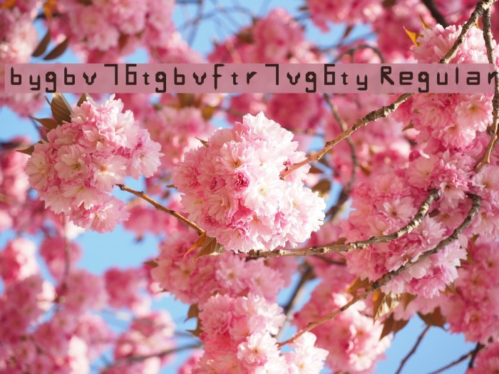 bygbv76tgbvftr7vg6ty Regular Font examples