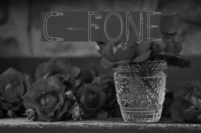 C - FONE 字体 examples