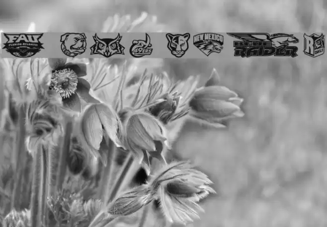 C-USA फ़ॉन्ट examples