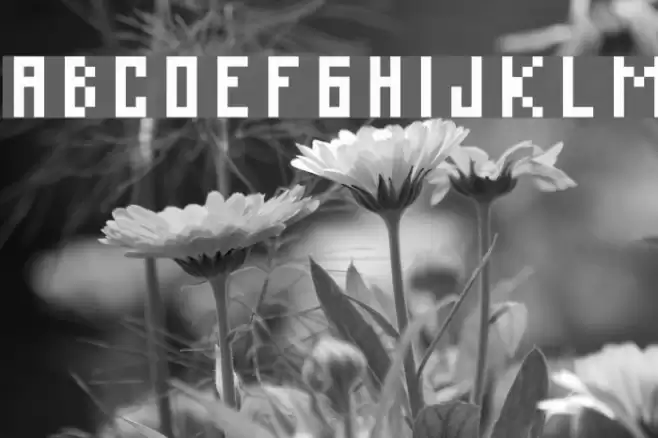 C Web Large Schriftart examples