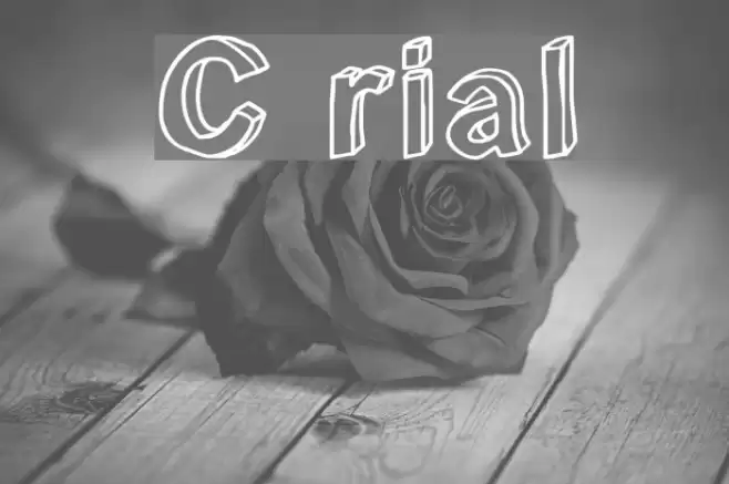 C rial フォント examples
