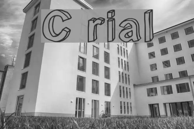 C rial フォント examples