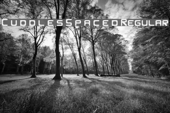 C u d d l e s S p a c e d Regular 字体 examples