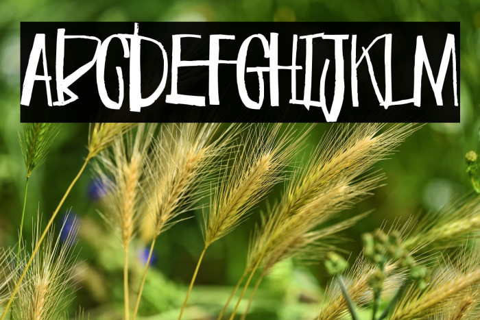 C with acute Example 1