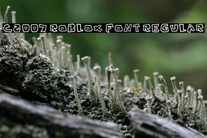 C2007 Roblox Font Regular Example 1