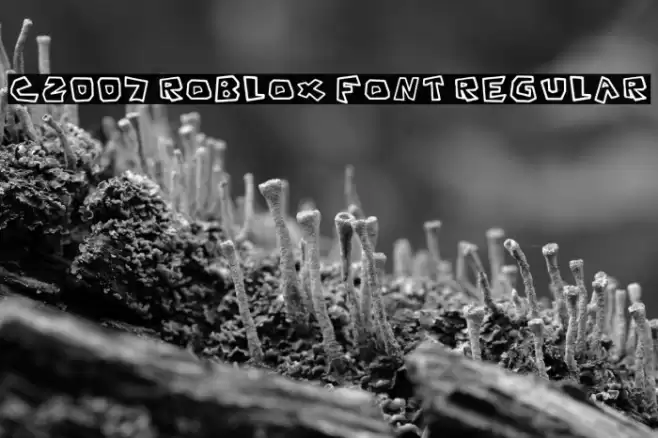 C2007 Roblox Font Regular फ़ॉन्ट examples