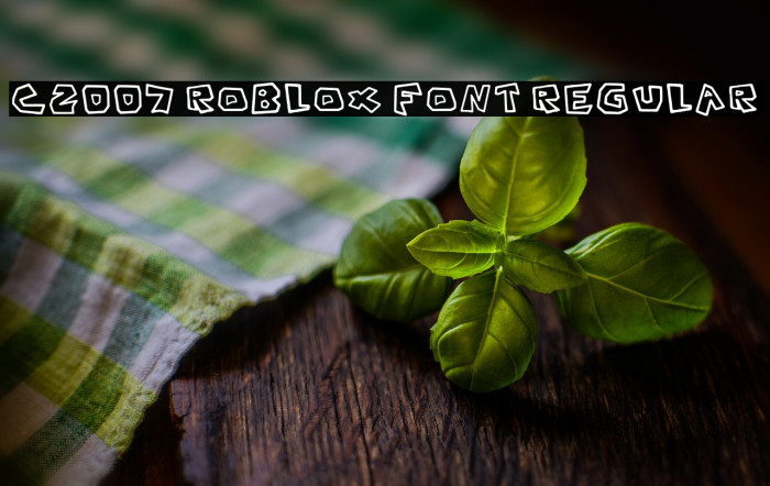 C2007 Roblox Font Regular Example 2