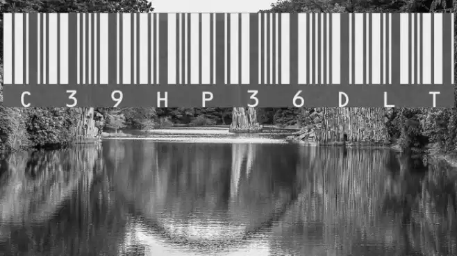C39HrP36DlTt Шрифта examples