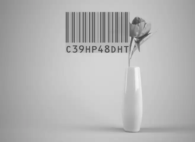 C39HrP48DhTt Шрифта examples
