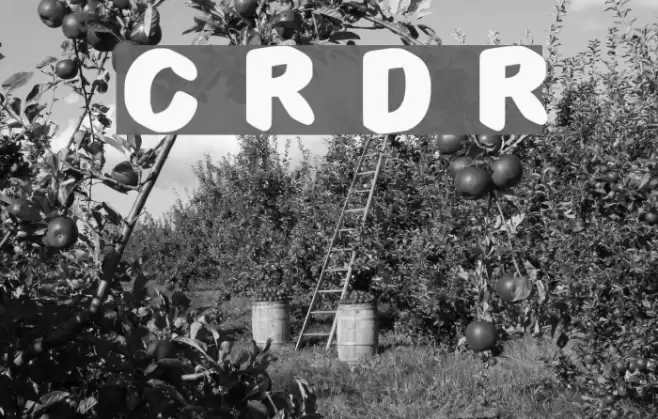 C3d Rounded Demo Regular Font examples