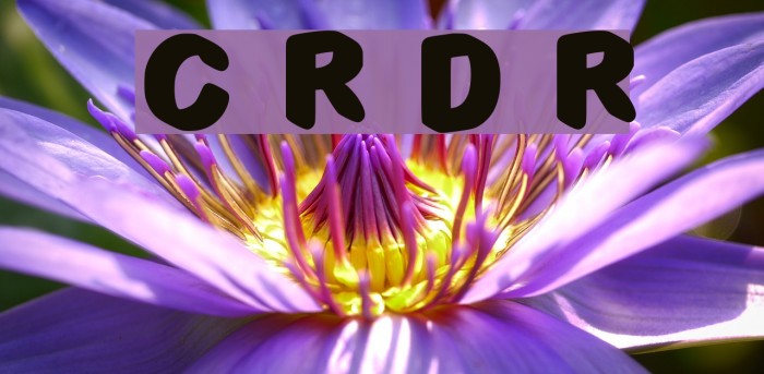C3d Rounded Demo Regular Fonte examples