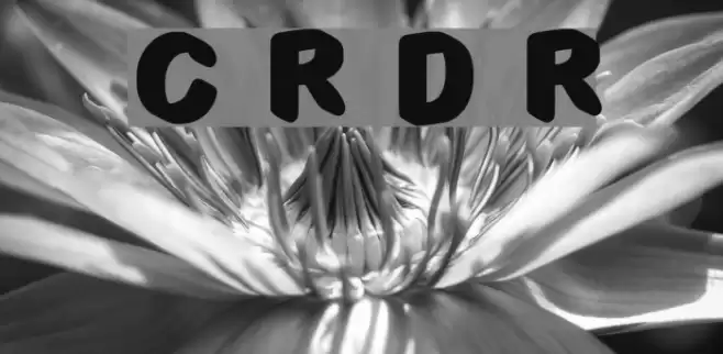 C3d Rounded Demo Regular Font examples